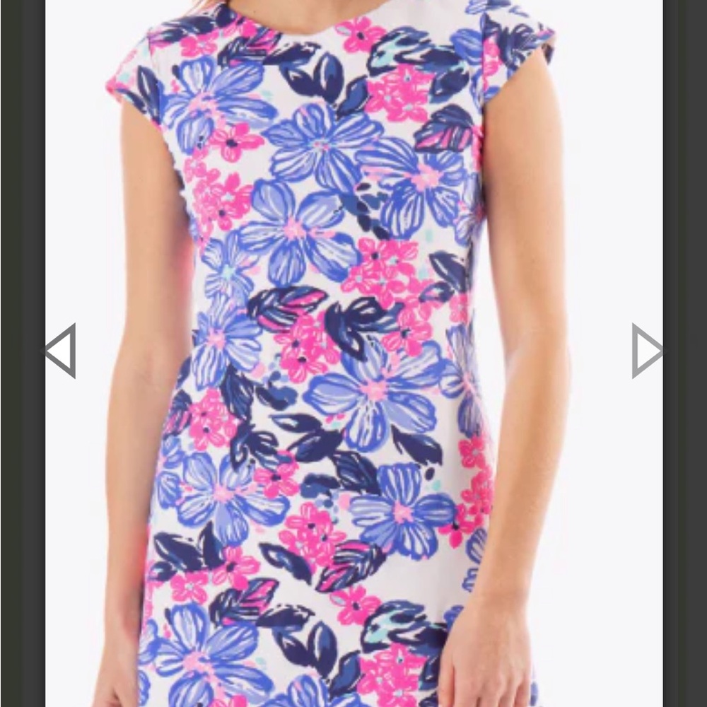 MAHI GOLD Floral Cap Sleeve Dress in Pink and Blue